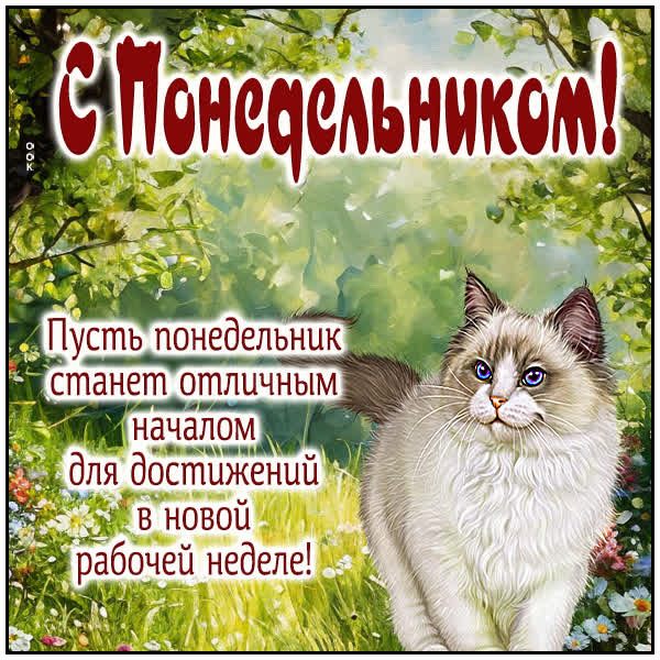 Postcard картинка понедельник с пожеланиями удачной недели