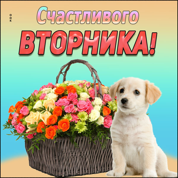 Картинка картинка поздравление со вторником
