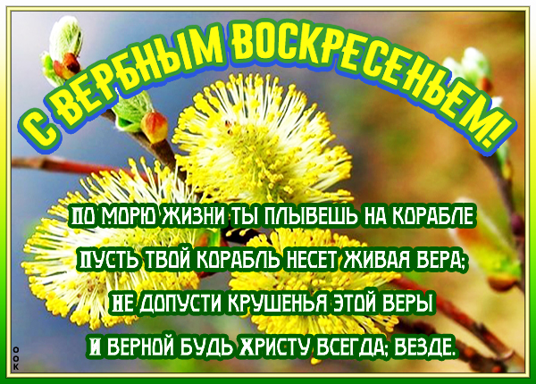 Картинка картинка поздравляю с божественным праздником вербы
