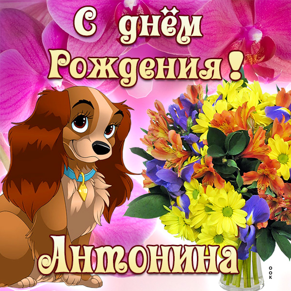 Открытка картинка поздравляю с днем рождения антонина