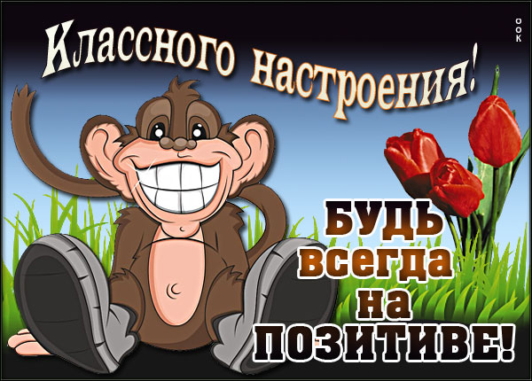 Открытка картинка пожелание хорошего дня и настроения