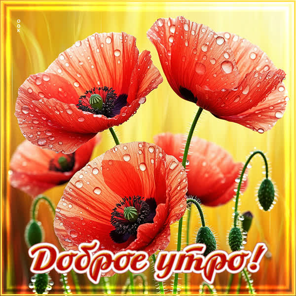 Picture картинка прекрасного доброго утра