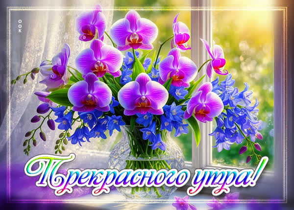 Picture картинка прекрасного утра