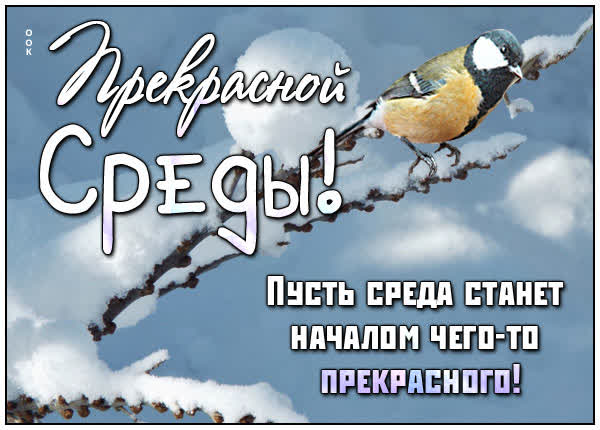 Postcard картинка прекрасной среды