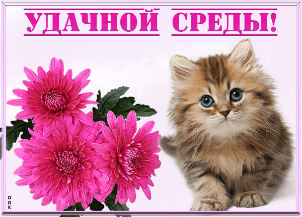Картинка картинка прекрасной среды