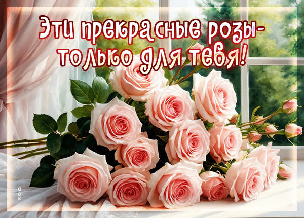 Picture картинка прекрасные розы пусть украсят день