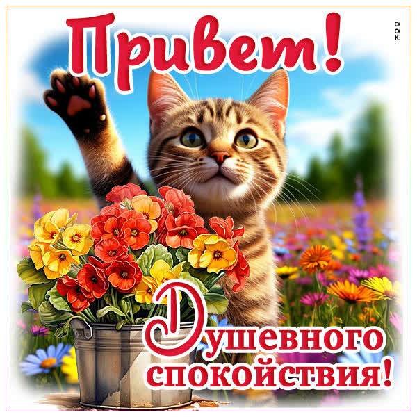 Picture картинка привет и душевного спокойствия