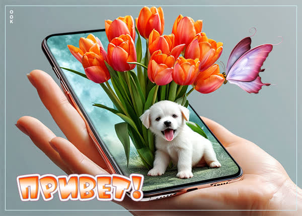 Postcard картинка привет, пусть день принесет только хорошее!