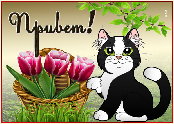 Открытка картинка приветик с котенком