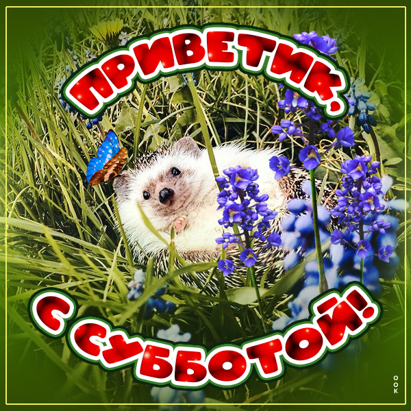 Открытка картинка приветик, с субботой