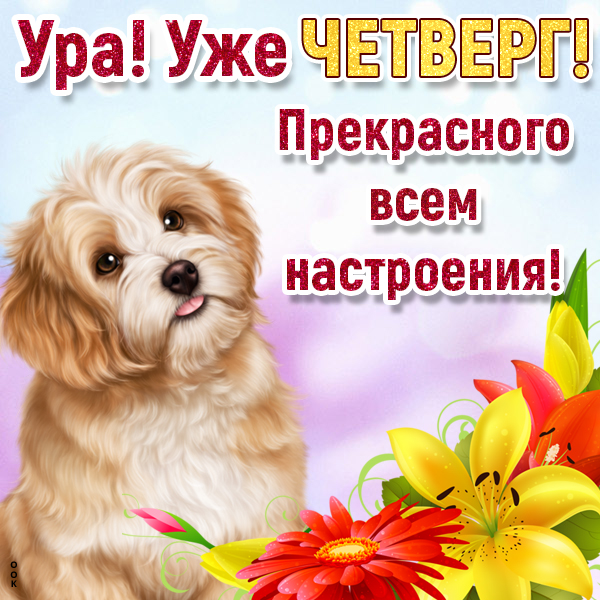 Открытка картинка приятного четверга