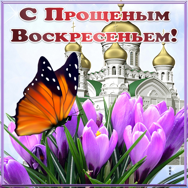 Картинка картинка прошу прощения в святое воскресенье
