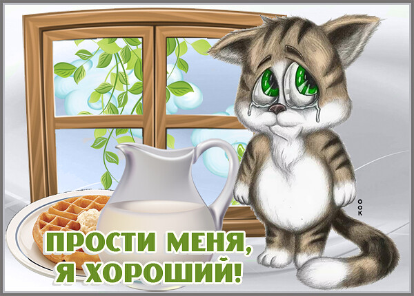 Открытка картинка прости с котиком