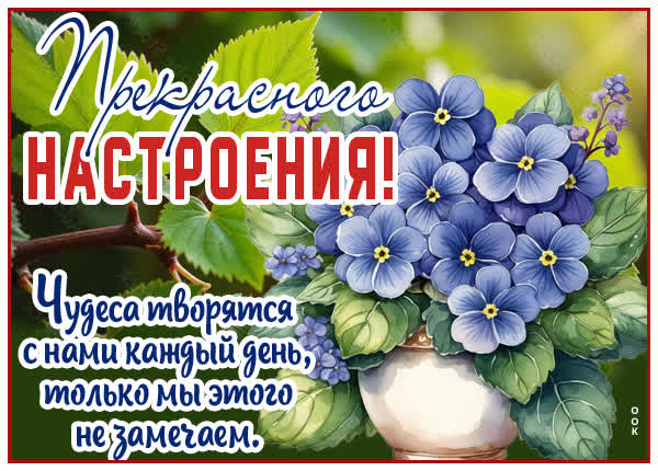 Picture картинка пускай чудеса случаются, а настроение улучшается
