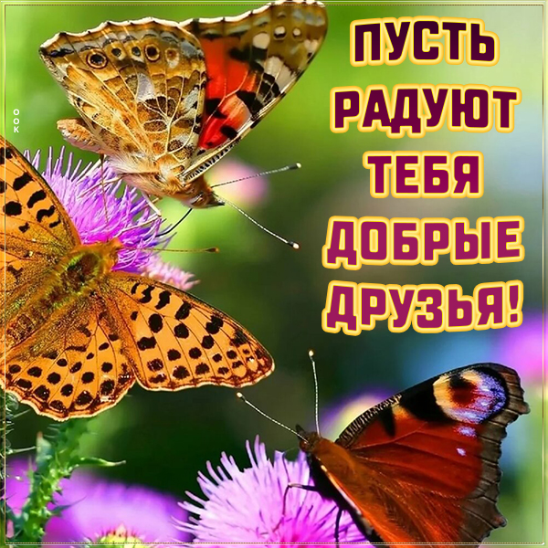 Картинка картинка пусть радуют тебя добрые друзья