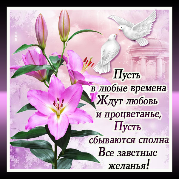 Картинка картинка пусть сбудутся все желания