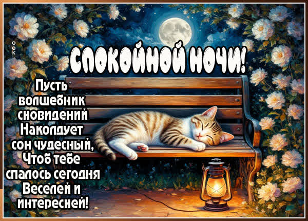 Picture картинка пусть волшебник сновидений наколдует сон чудесный