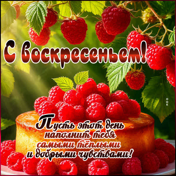 Postcard картинка пусть воскресенье наполнит теплыми чувствами