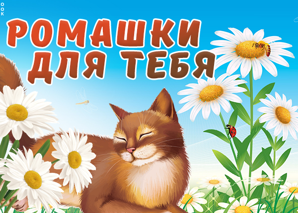 Открытка картинка ромашки от души