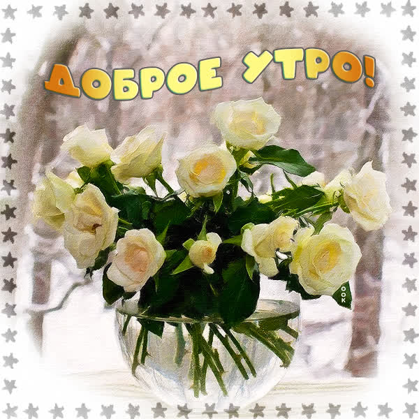 Picture картинка с букетом белых роз