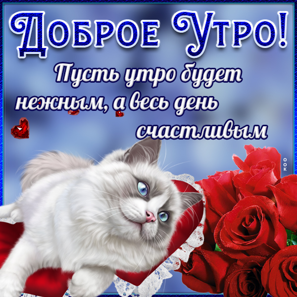 Картинка картинка с добрым утром с пожеланиями
