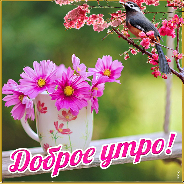 Картинка картинка с добрым утром женщине