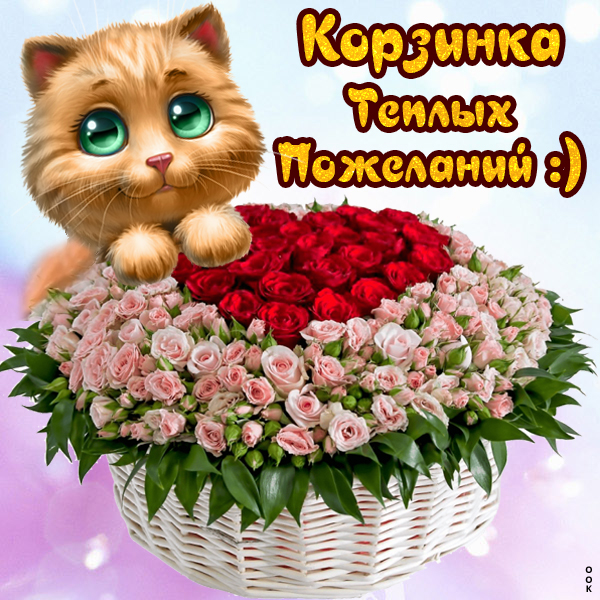 Картинка картинка с пожеланиями с котиками