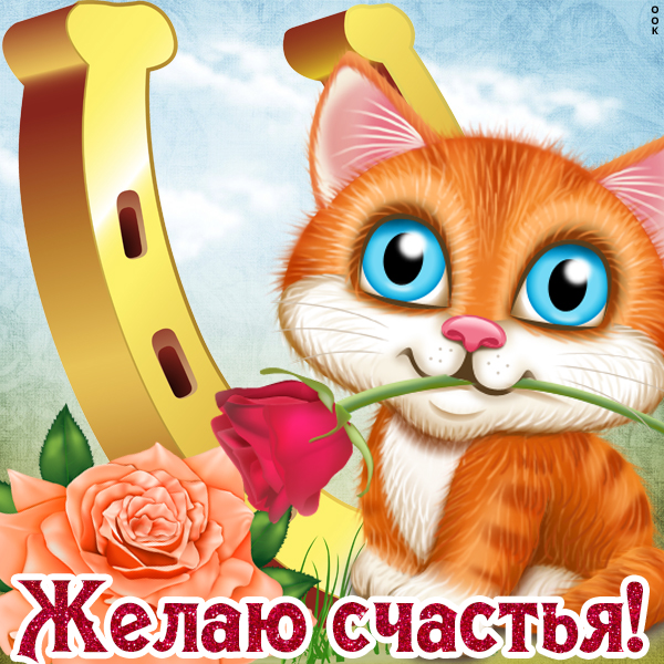 Открытка картинка с пожеланиями с розой