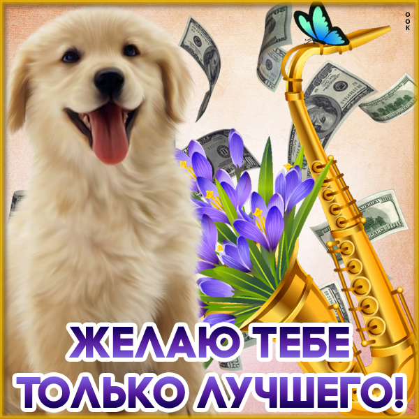 Открытка картинка с пожеланиями с собачкой