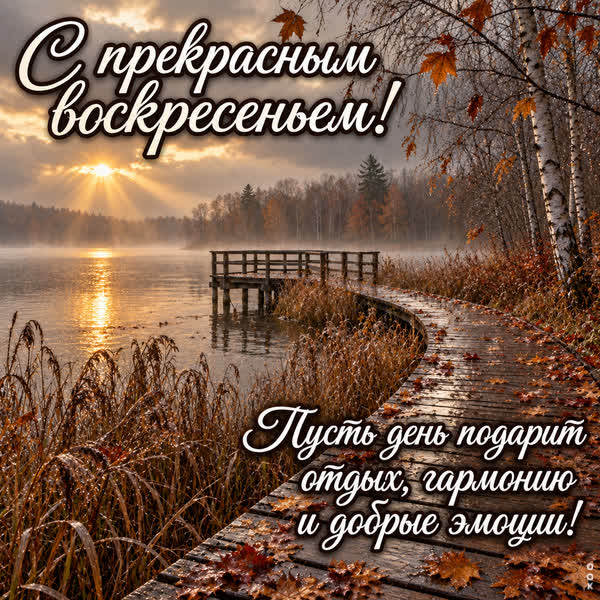 Postcard картинка с прекрасным воскресеньем
