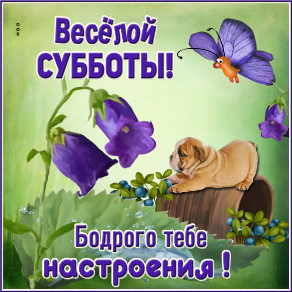 Картинка картинка с субботой для друзей