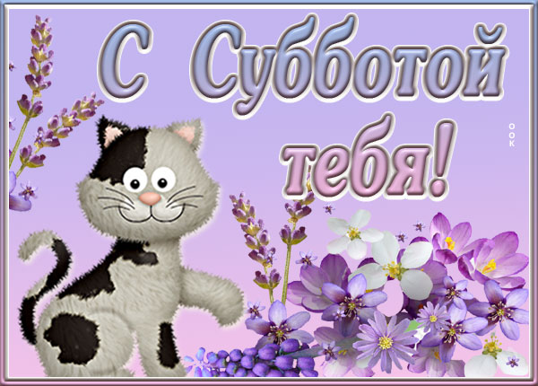 Картинка картинка с субботой тебя
