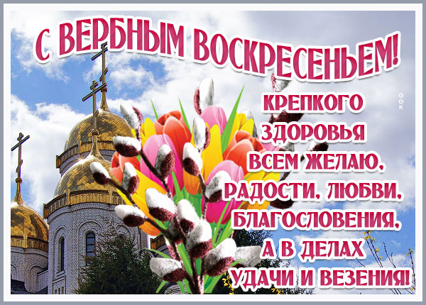 Картинка картинка с вербным воскресеньем пусть у вас всё будет хорошо