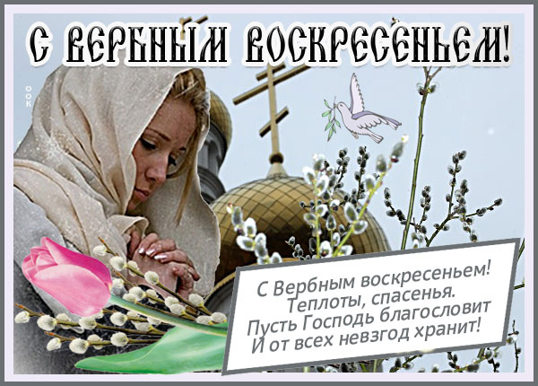 Картинка картинка с вербным воскресением тебя