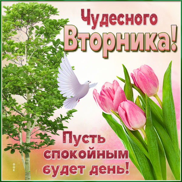 Картинка картинка с вторником с красивыми словами