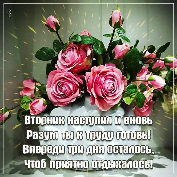 Открытка картинка с вторником с текстом