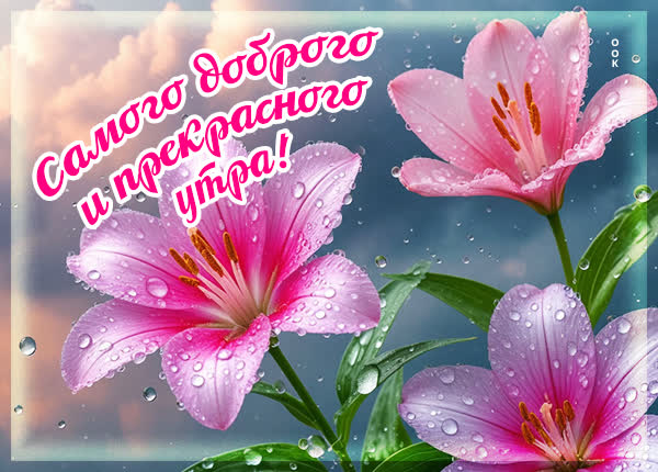 Picture картинка самого доброго утра