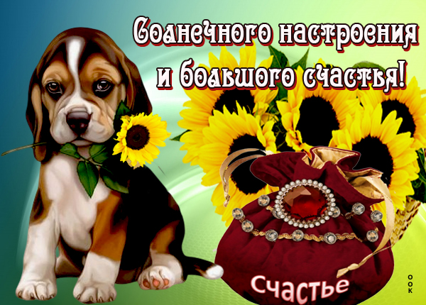Картинка картинка солнечного настроения и большого счастья