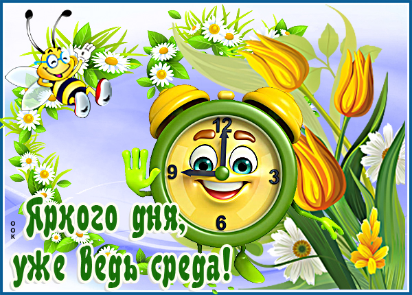 Картинка картинка солнечной среды