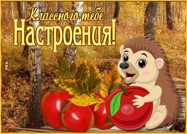 Picture картинка солнечного настроения осенью