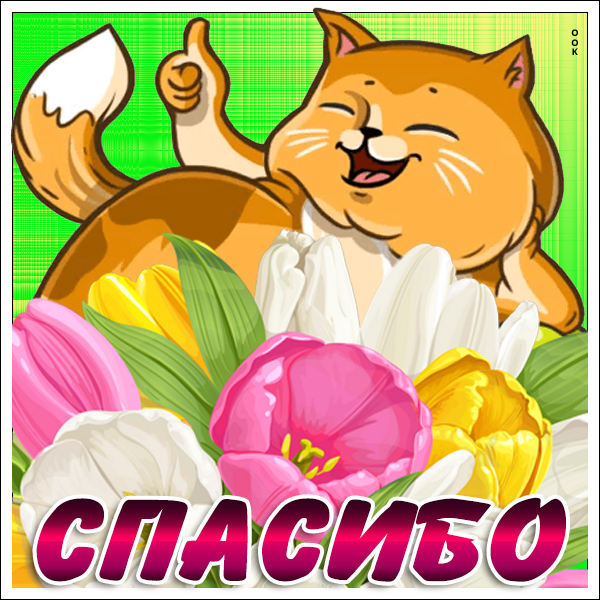 Картинка картинка спасибо большое