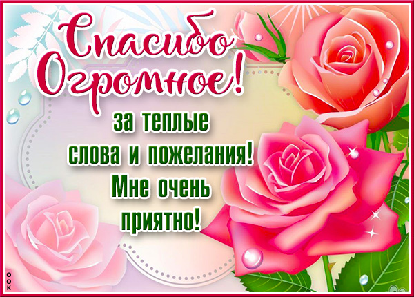 Открытка картинка спасибо с розовыми розами