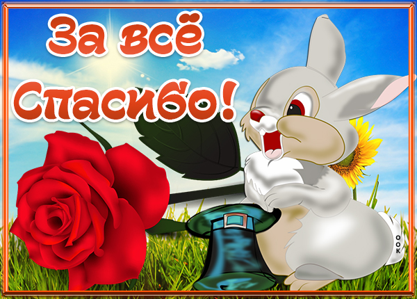 Открытка картинка спасибо за всё