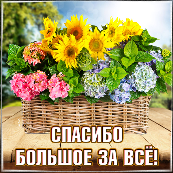 Открытка картинка спасибо за все