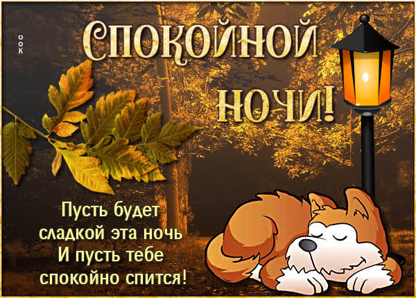 Picture картинка спокойной ночи с щеночком
