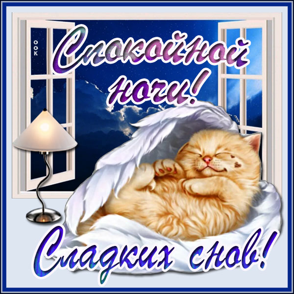 Открытка картинка спокойной ночи с котенком