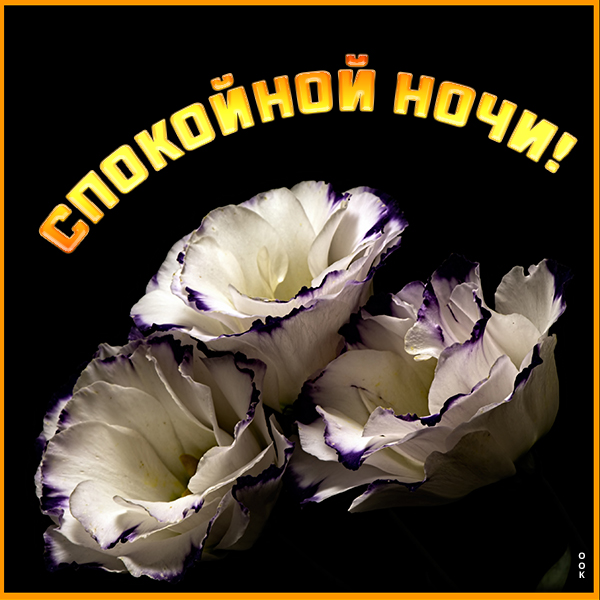 Открытка картинка спокойной ночи с цветами
