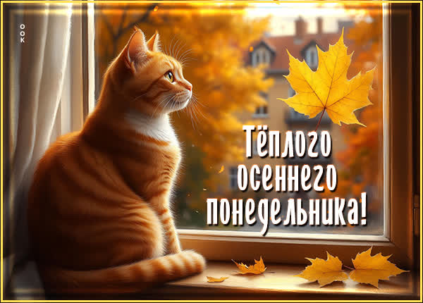 Picture картинка теплого осеннего понедельника