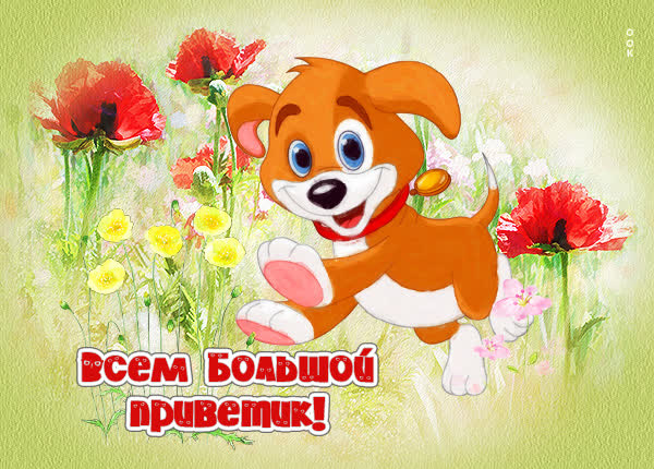 Picture картинка теплый привет с пёсиком