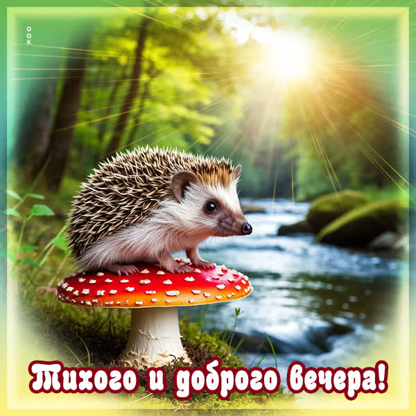Picture картинка тихого и доброго вечера